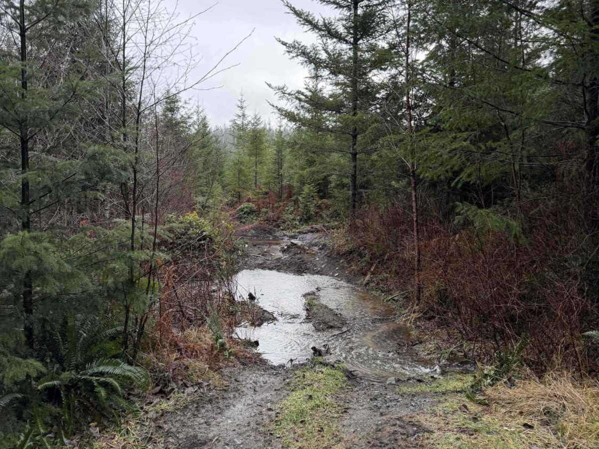 Brewster Lake Recreation Site photo 4