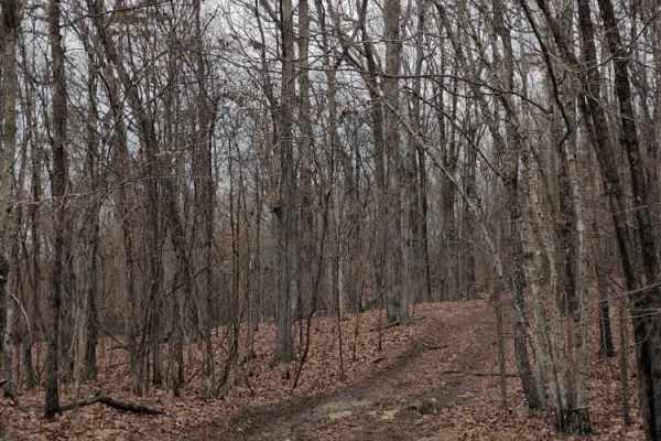 #114 Hardline Trail