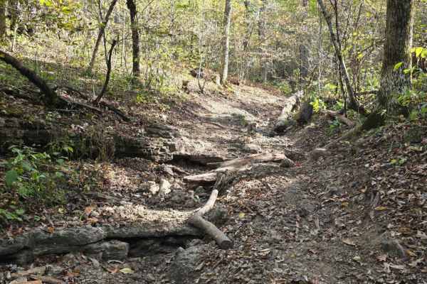 Turtle Trail
