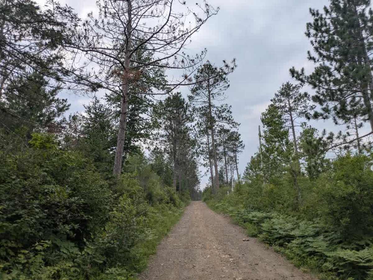 Snake River Road trail photo