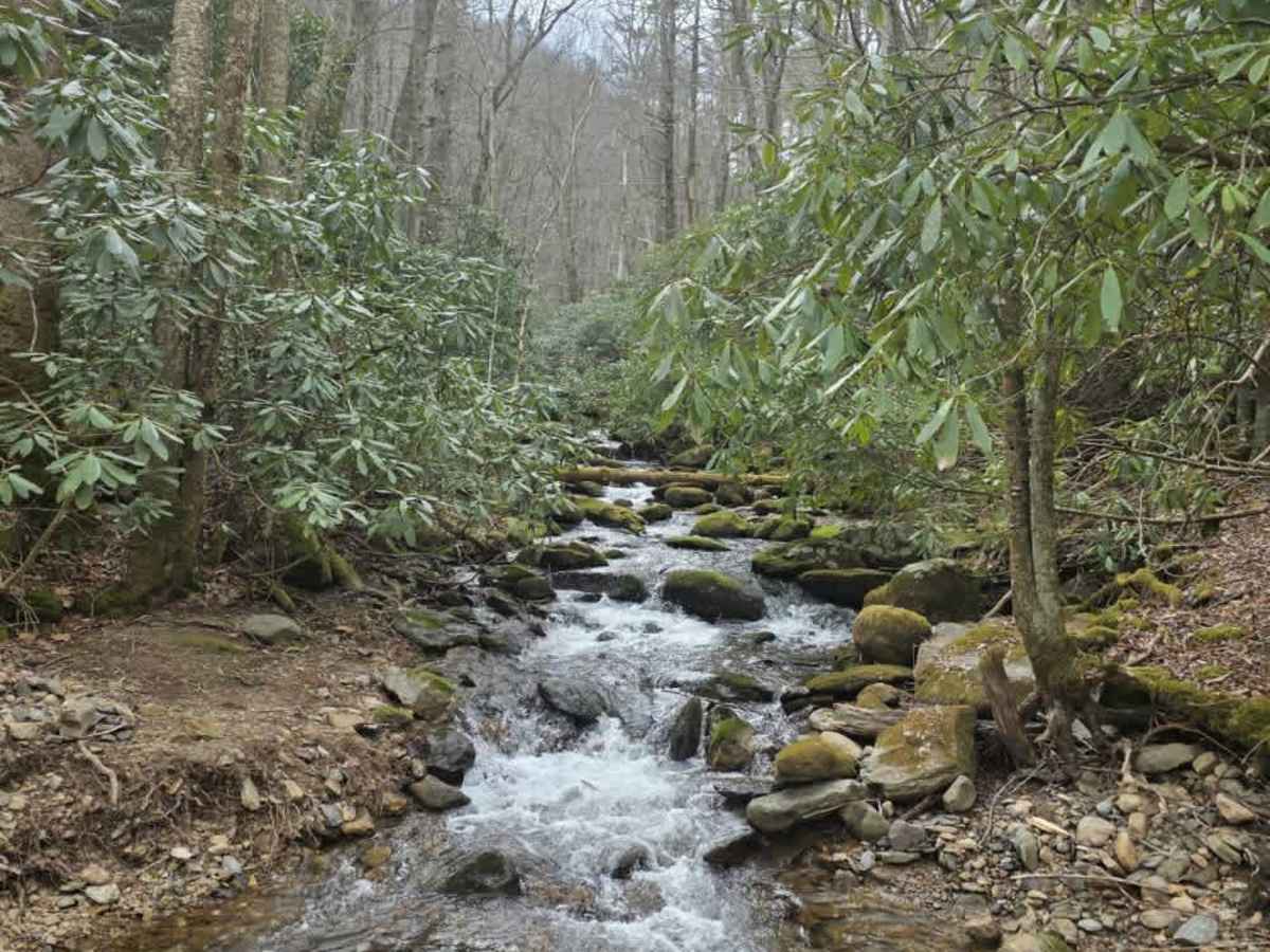 Big Creek trail photo