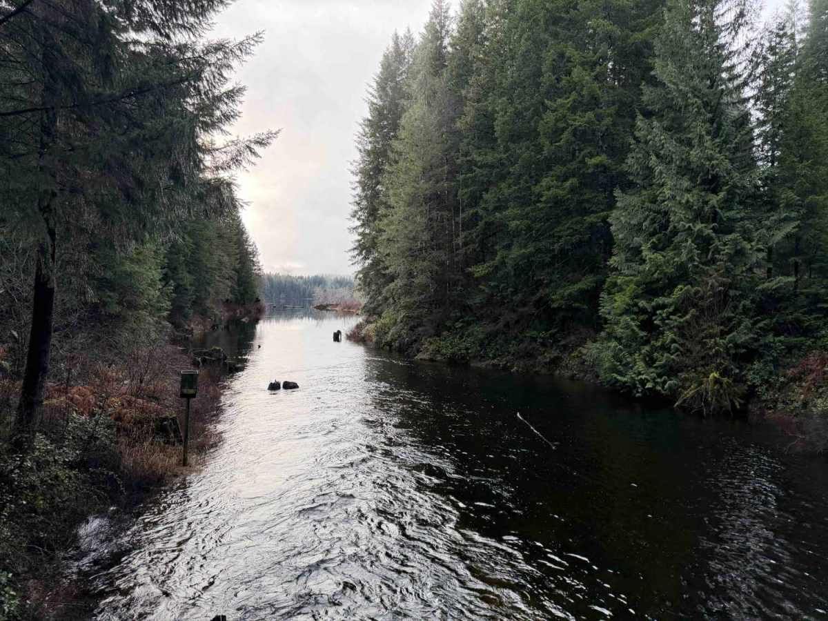 Brittney Bay Recreation Site photo 2