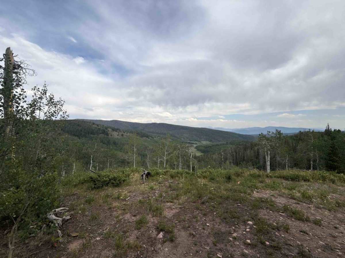 Sawmill Road - FS 241 photo 6