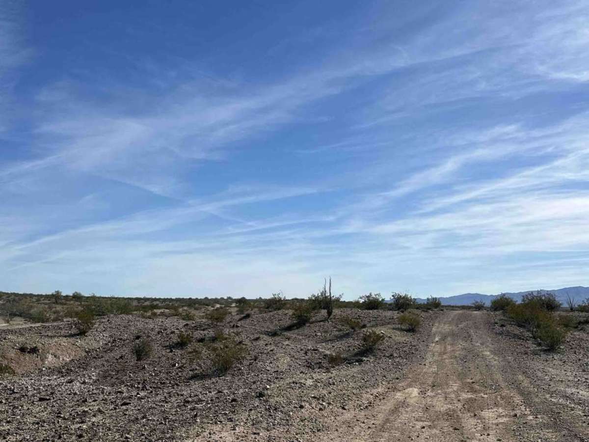 P1362 trail photo