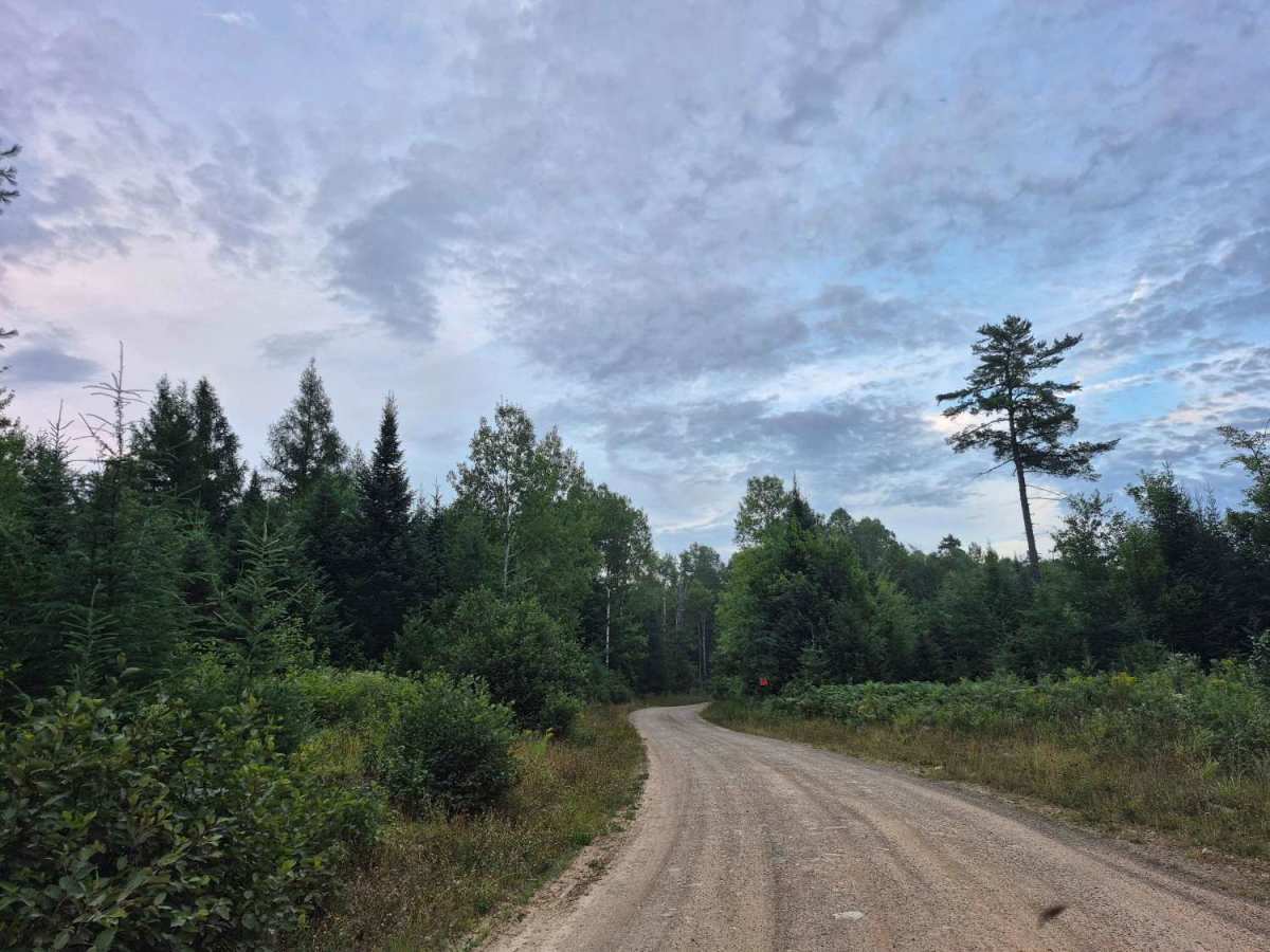 Truck Trail 2 photo 3