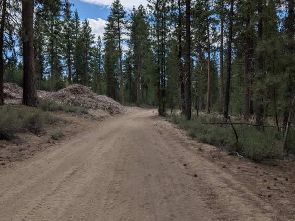 Pine Ridge photo 2