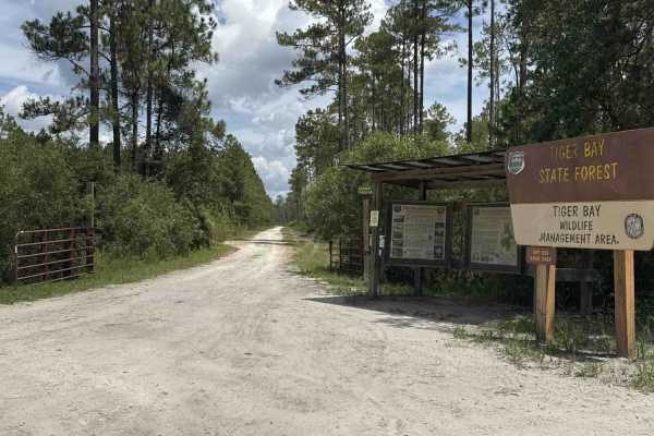 Gopher Ridge Road