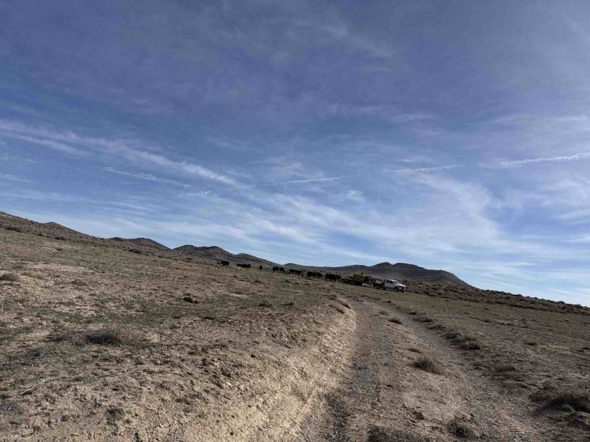 Ten Mile Pass Road photo 4