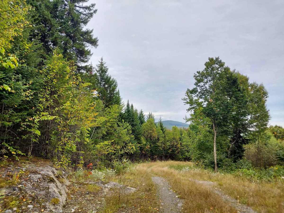 Graham Brook Trail photo 3