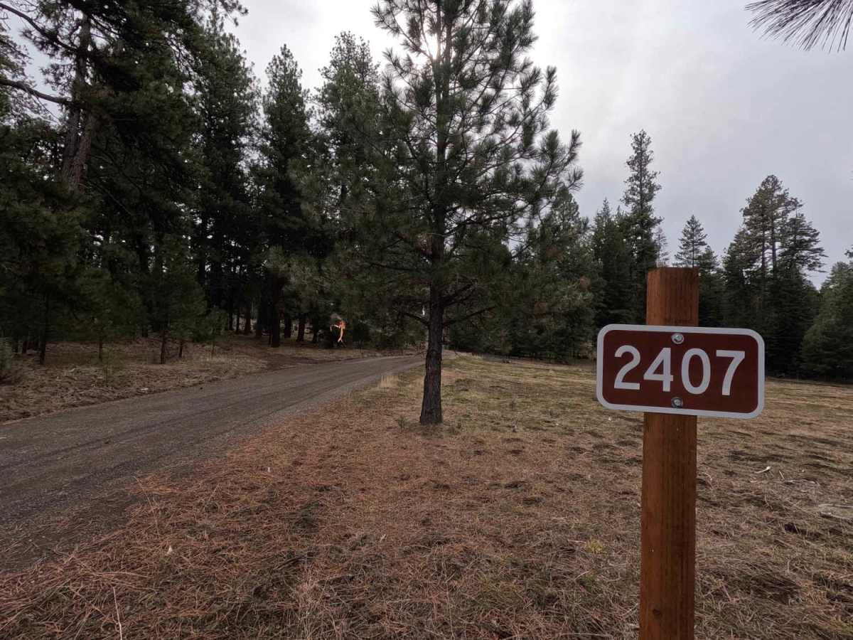FS 2407 trail photo
