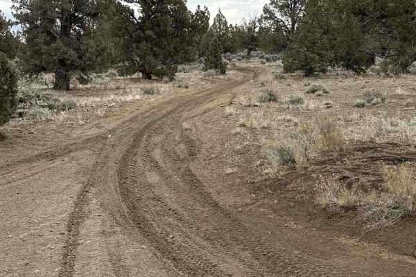 Millican Plateau OHV Trail 83