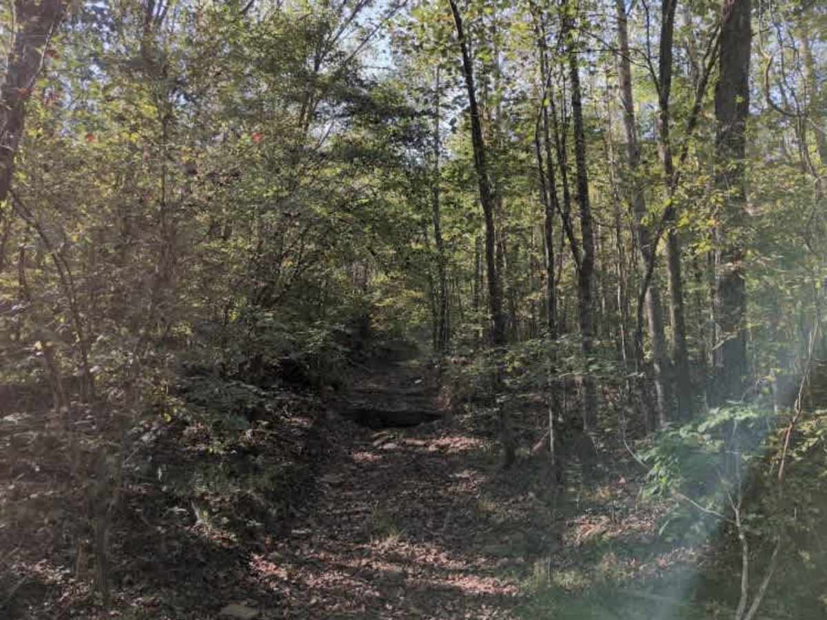 #101 Lower Ridge Line photo 4