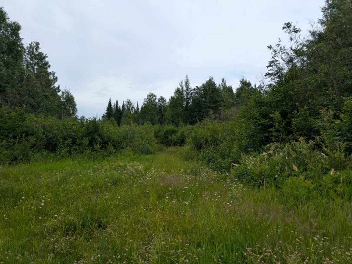 Hypo Creek  photo 6