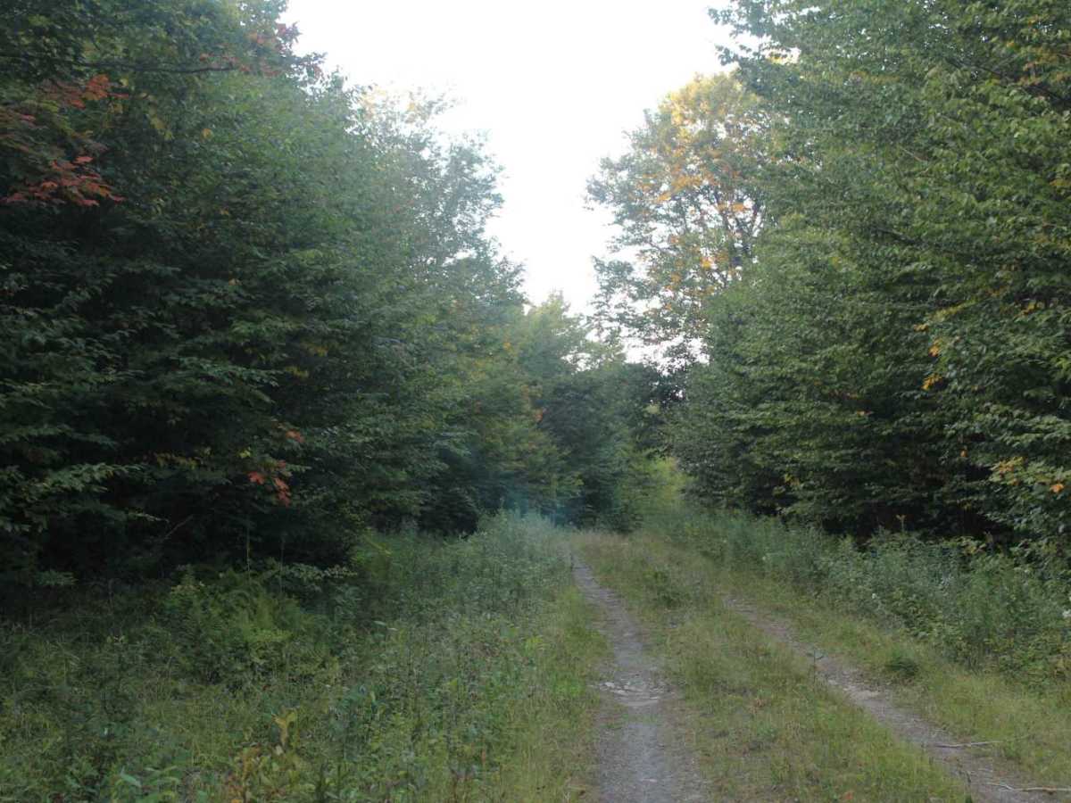 Gordons Trail photo 5