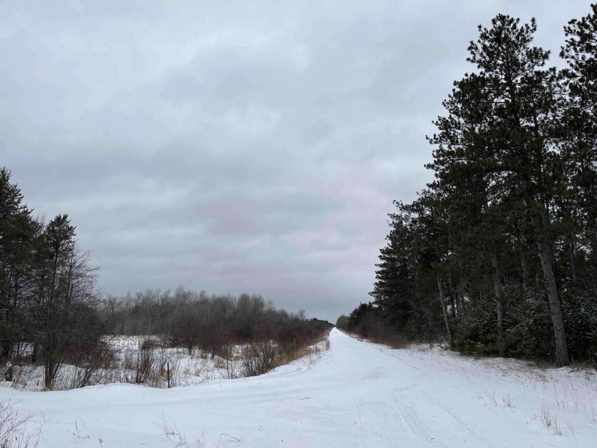 Nelson Forest Road photo 2