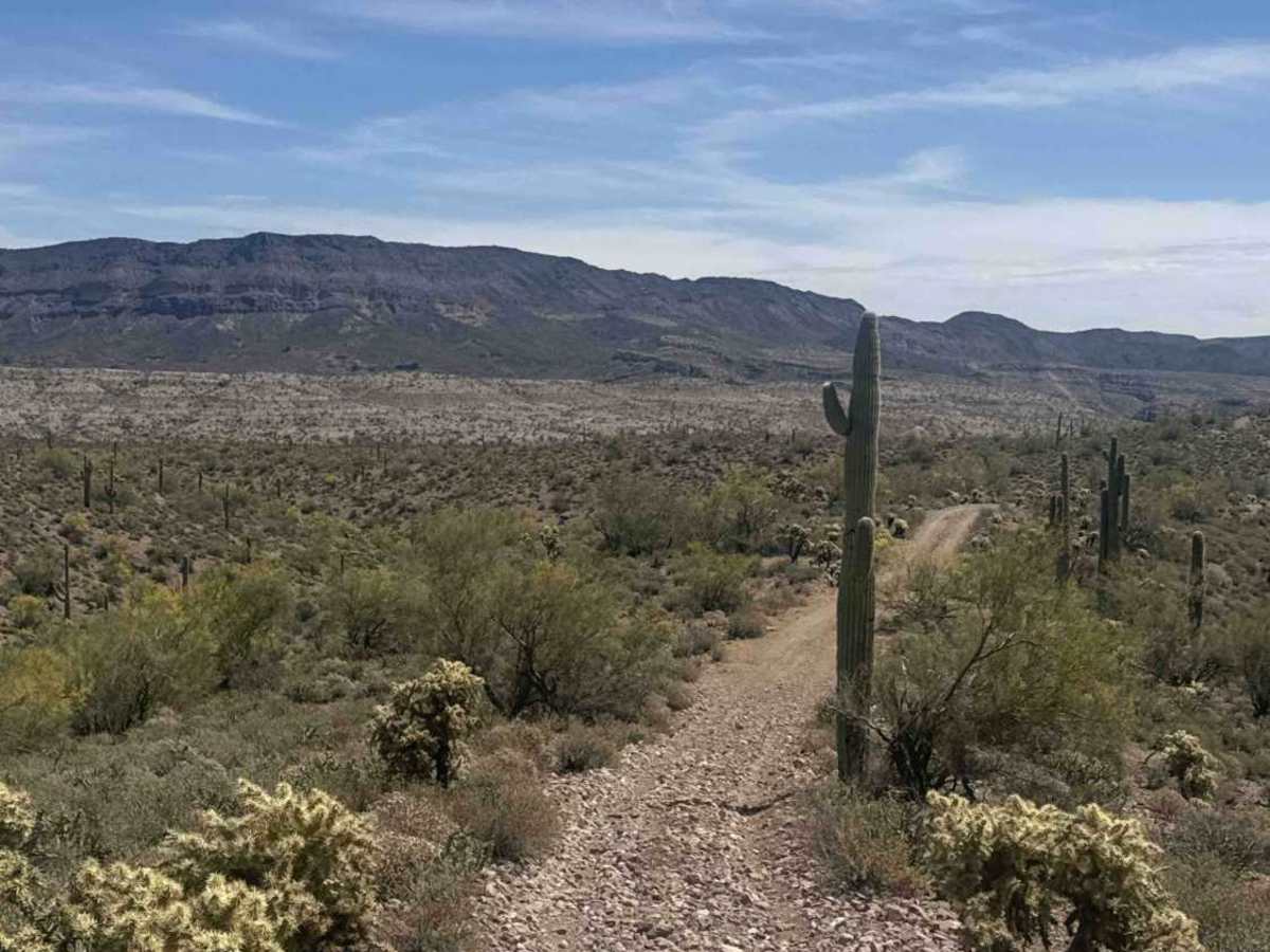 BLM 28063 photo 3