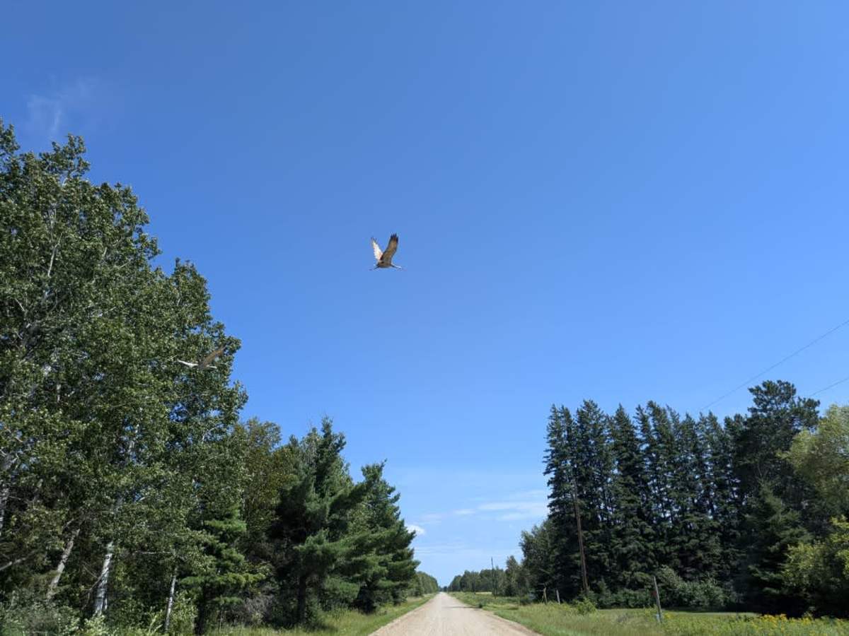 County Highway 15 photo 3