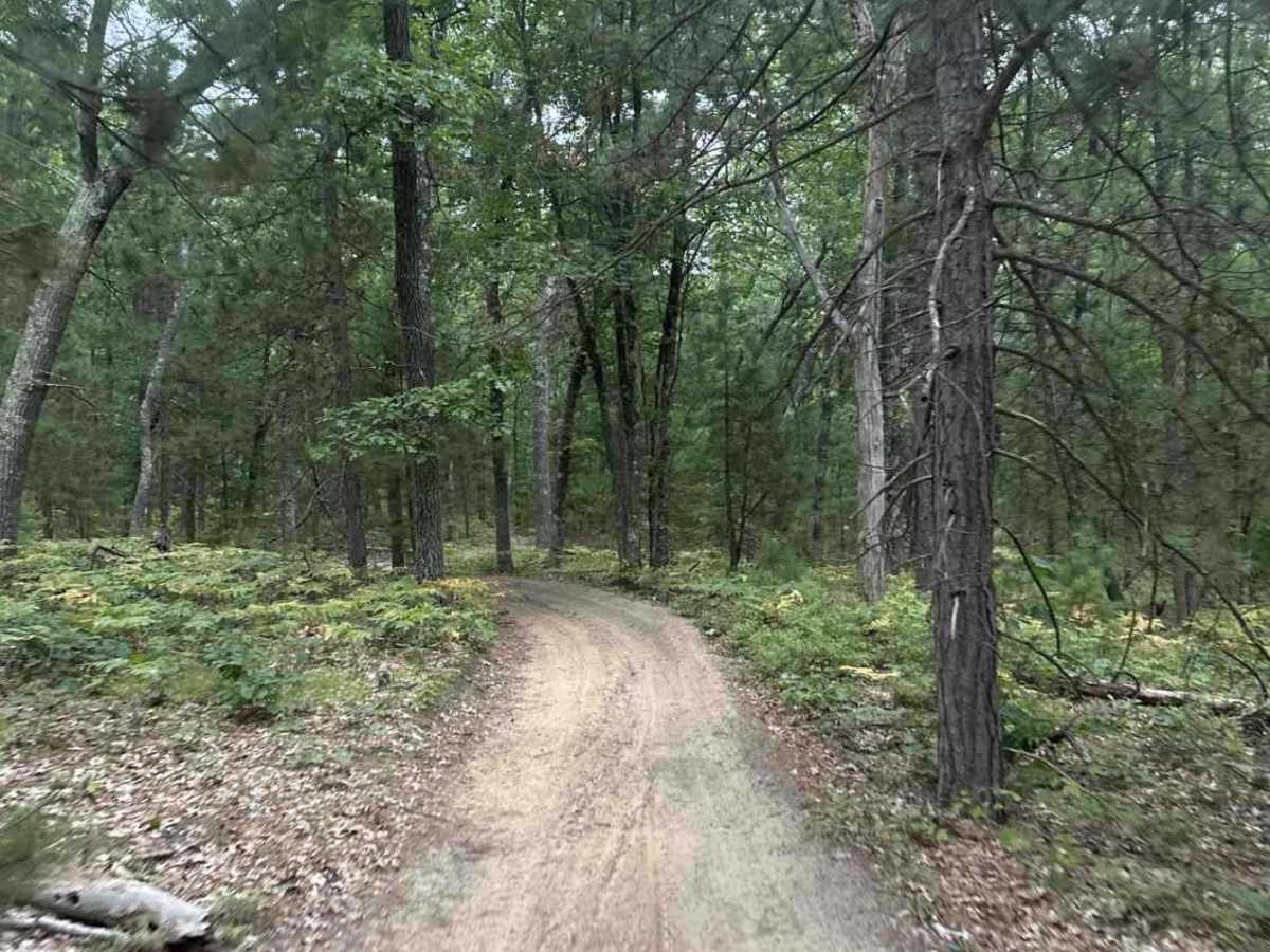 Old State House Trail photo 5