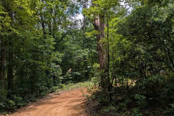Sheep Rock Road