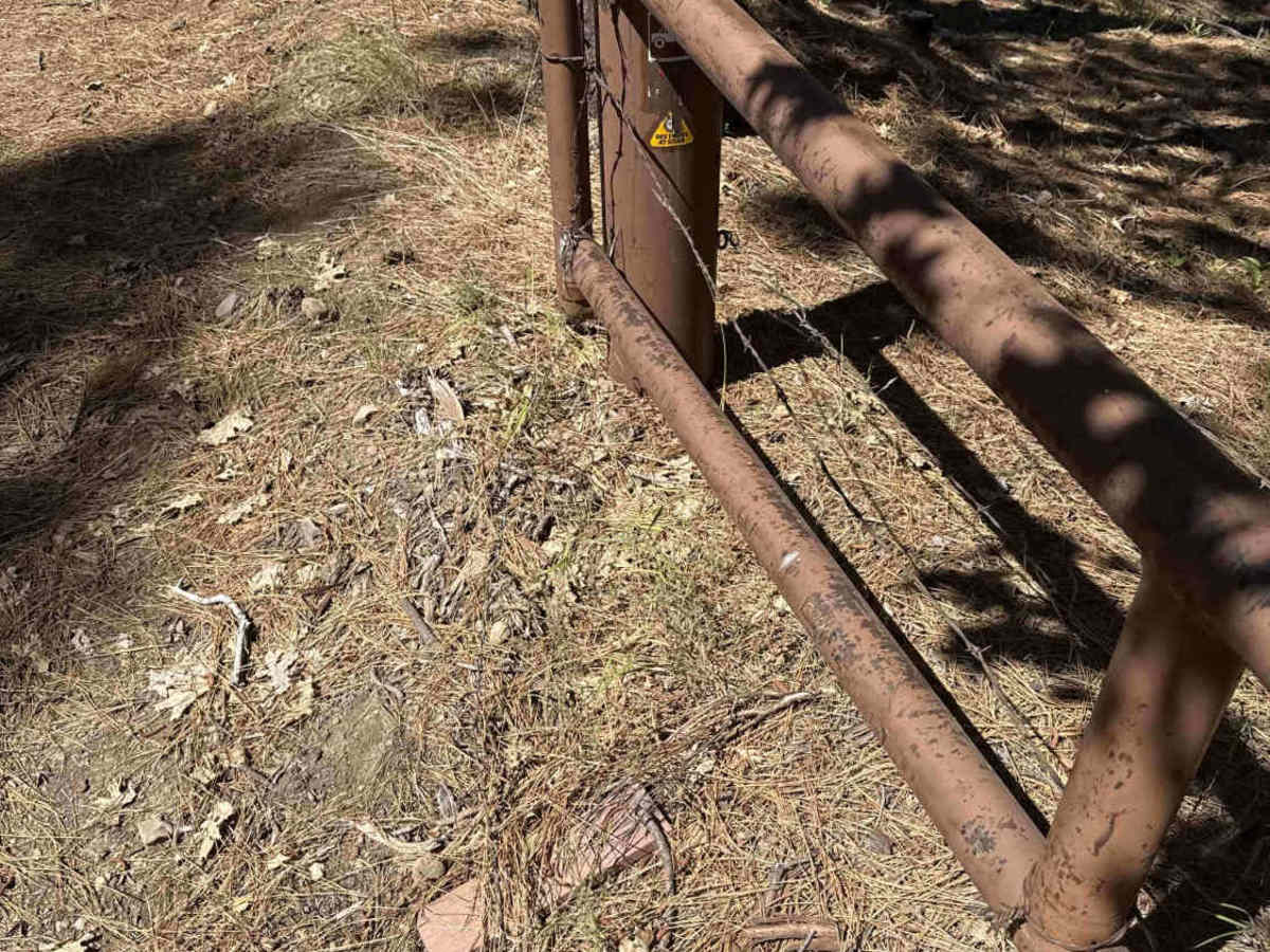 FS 3N34 trail photo