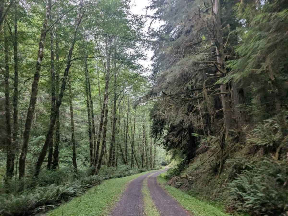 9000 trail photo