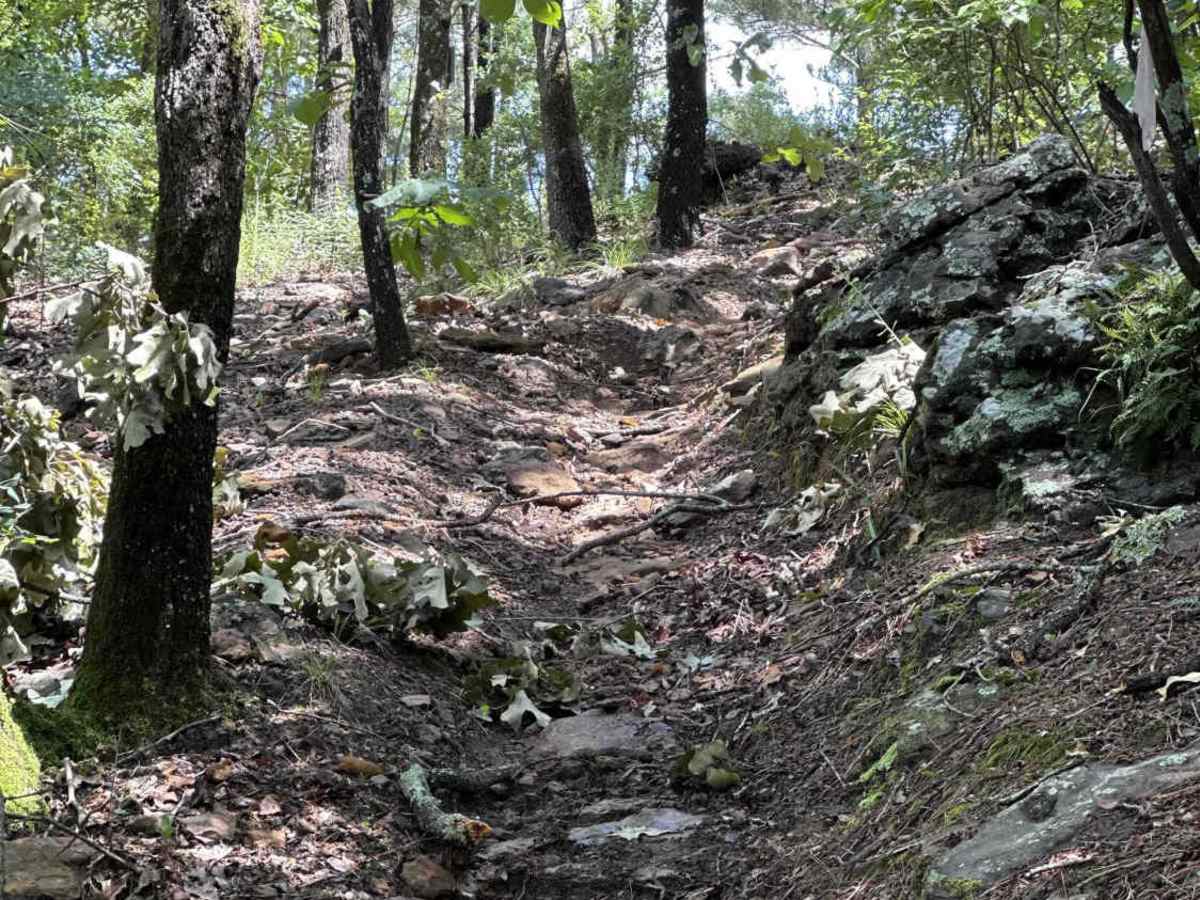 Almost Home trail photo
