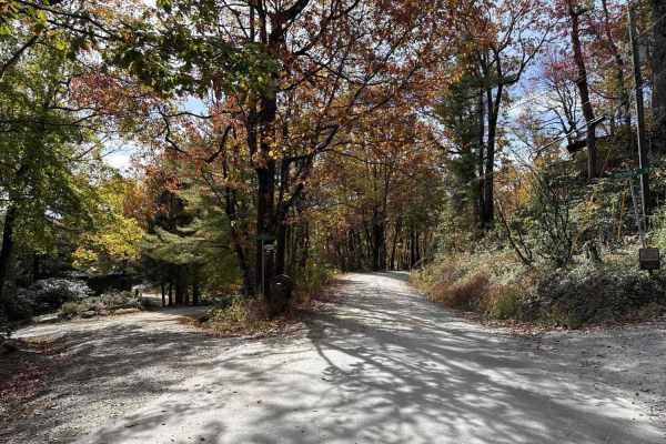 Upper Roses Creek - FS 210