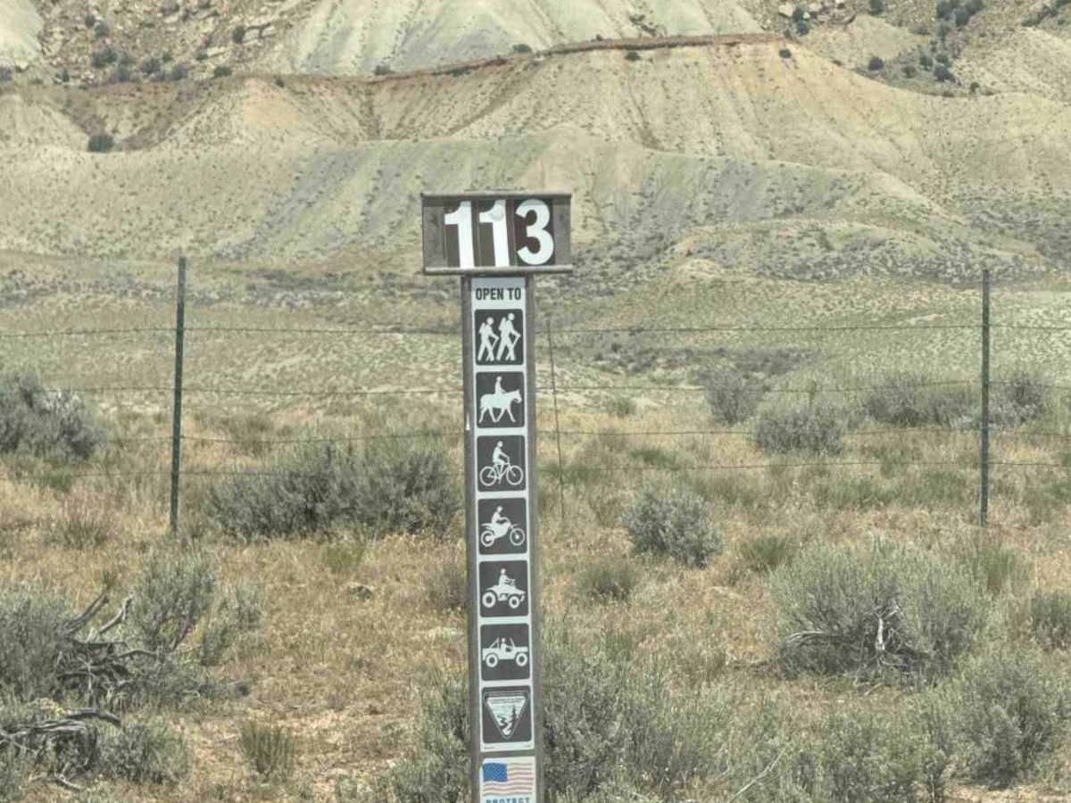 BLM 113 photo 4