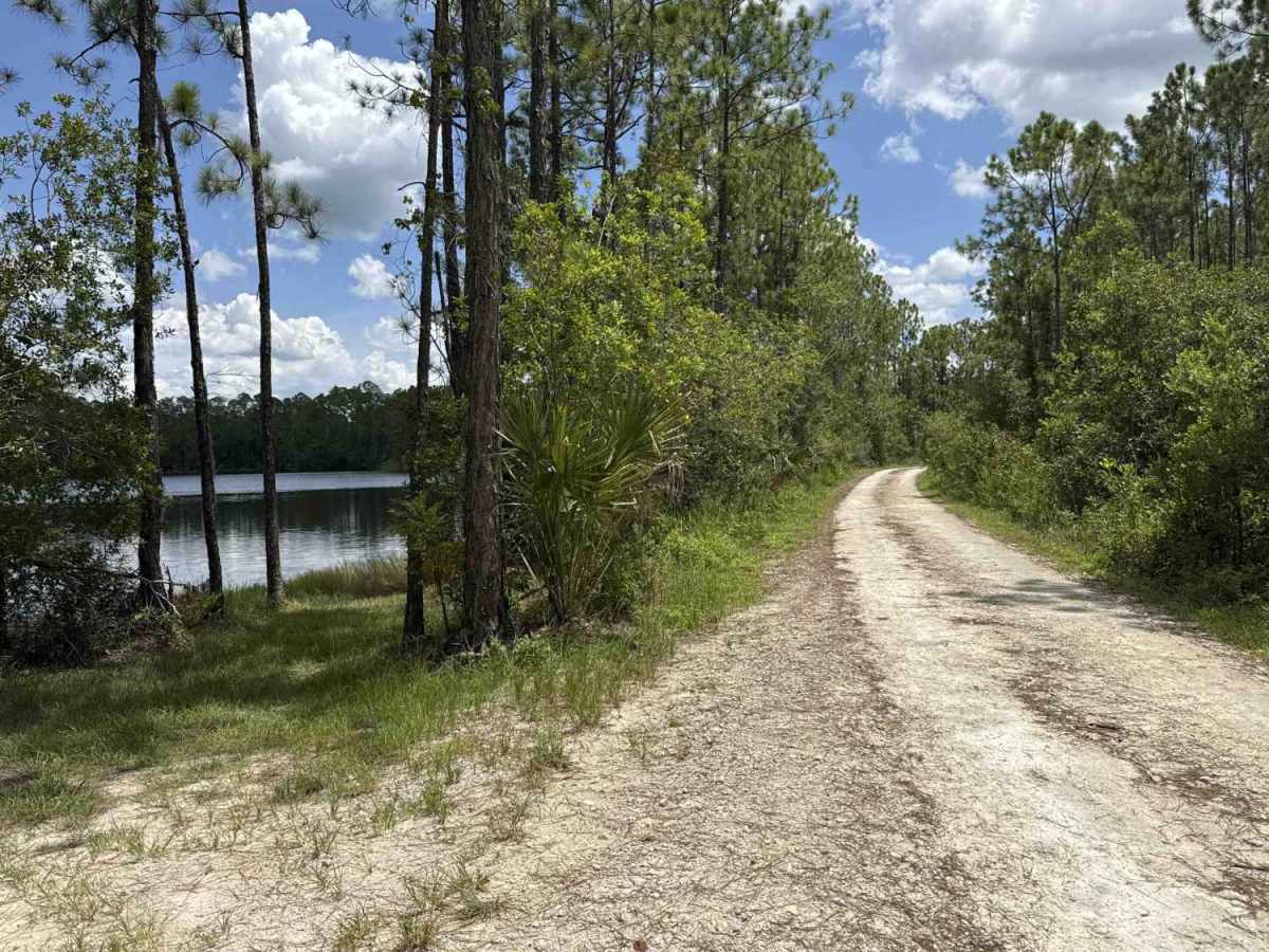 Woody Road Loop trail photo