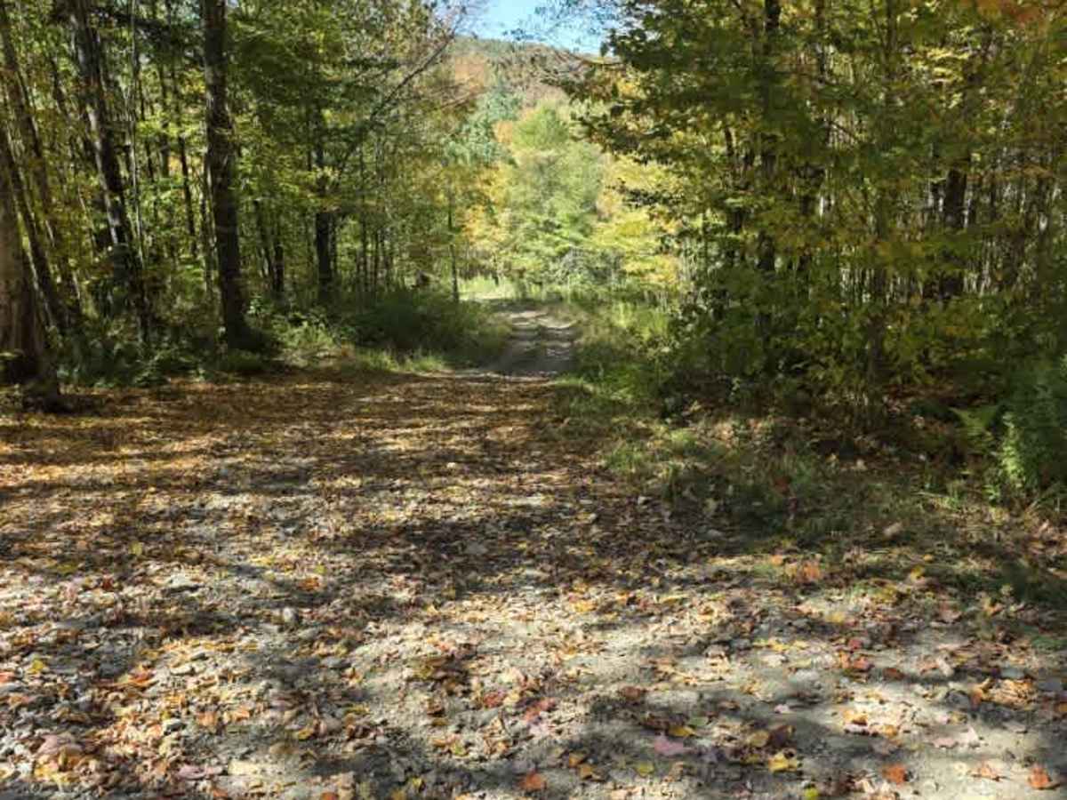 Perry Brook - Red Line Trail photo 4