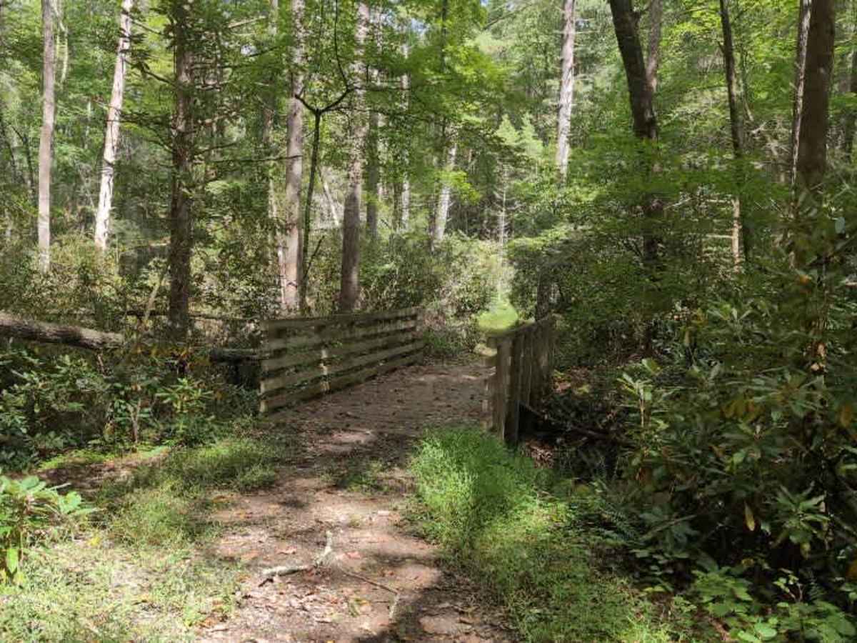 Virginia Highlands Horse Trail Spur D photo 5
