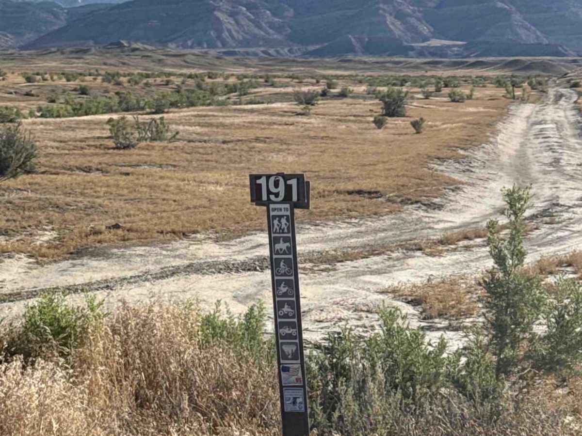 BLM 191 photo 4