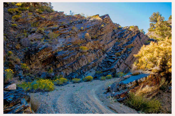 Forest Service Road 35E313
