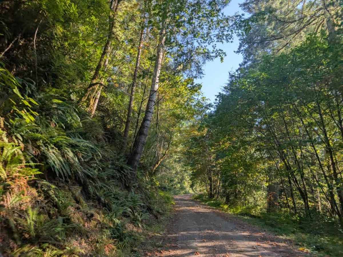 FS 5840000 trail photo