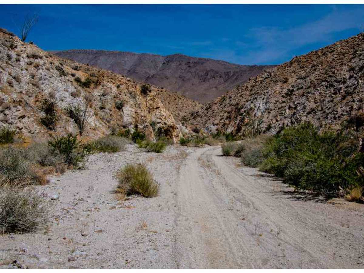 Lizard Canyon photo 5