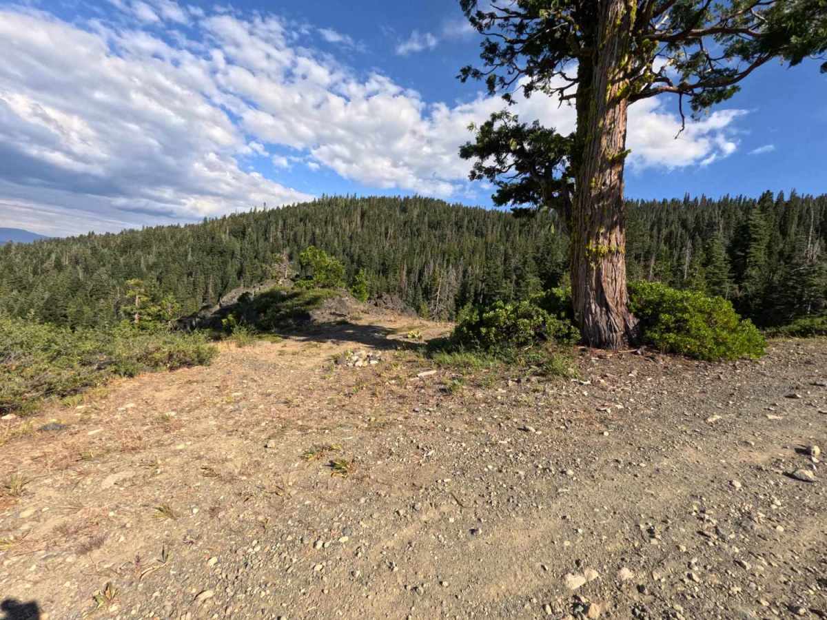 Haskell Sheep Ranch - FS 21N27 trail photo