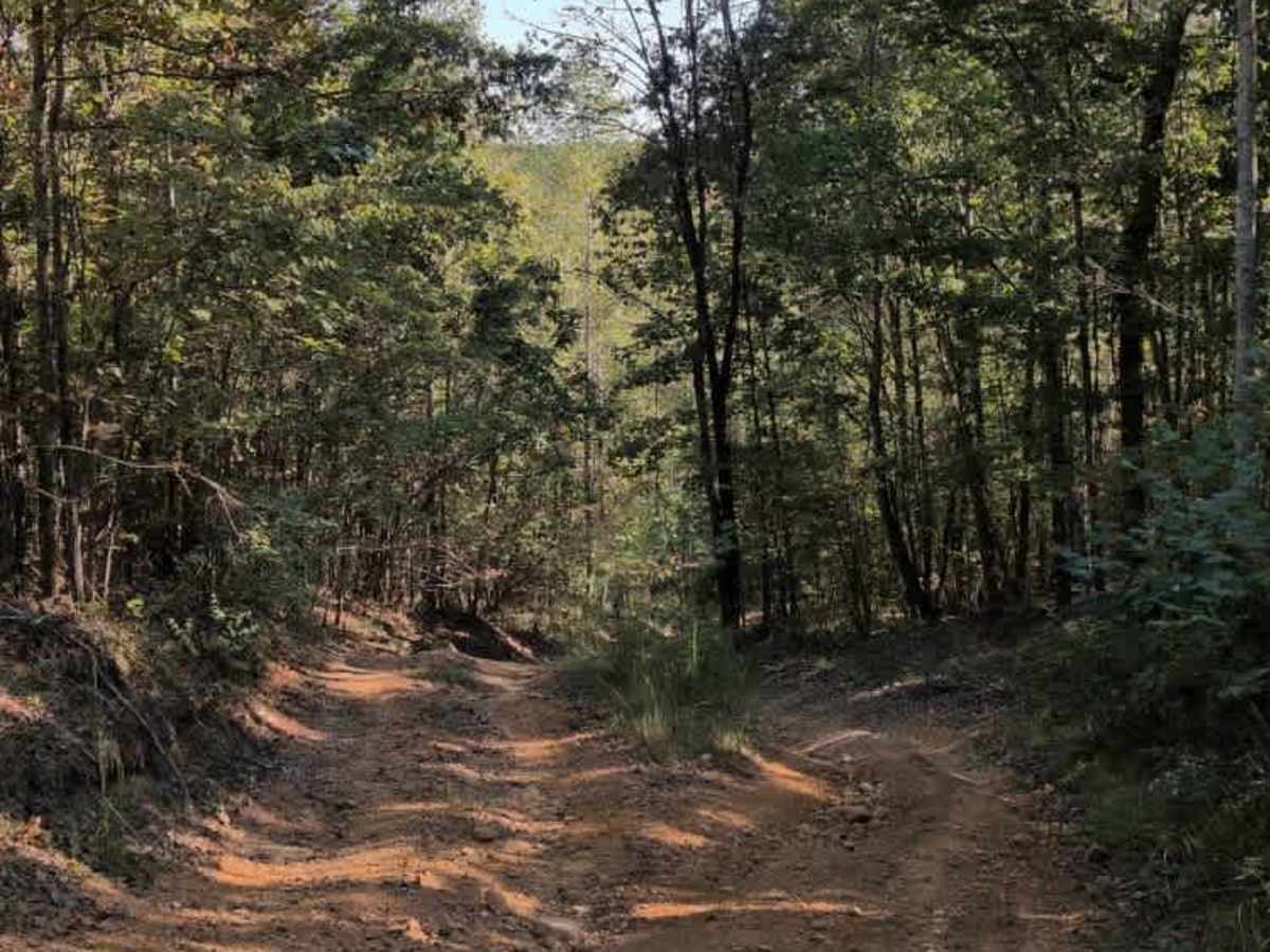#101 Lower Ridge Line photo 2