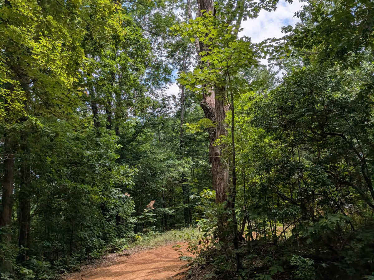 Sheep Rock Road photo 3