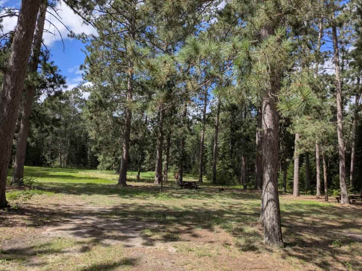 Faunce Butterfield Forest Road photo 5