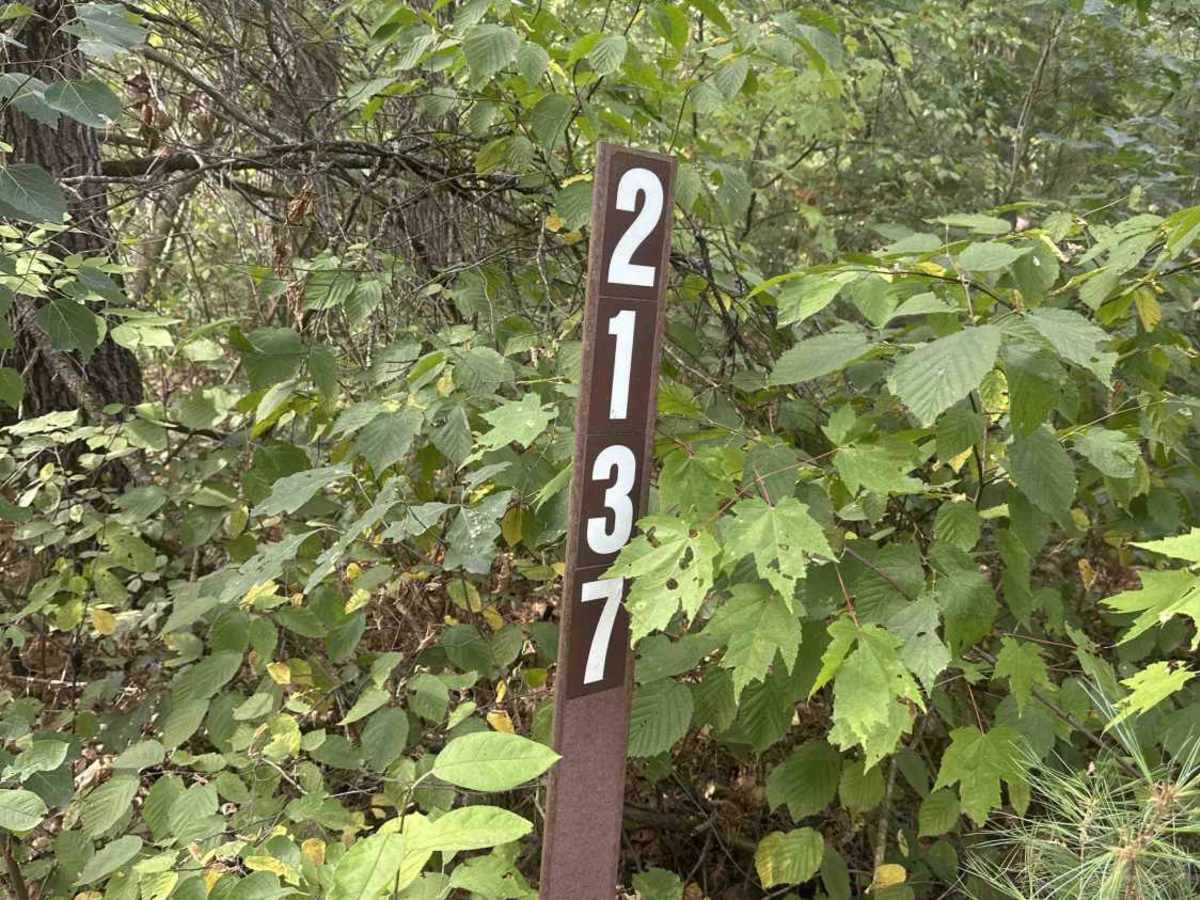 FS 2137 photo 2
