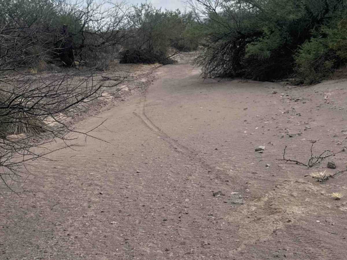 Ss1104  trail photo