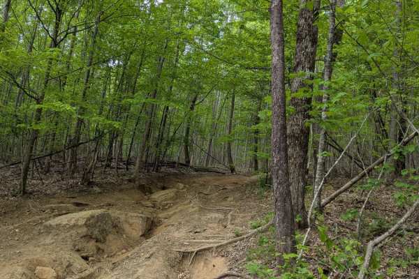 Trail 14