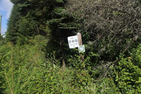 Lamb Valley Brook Trail