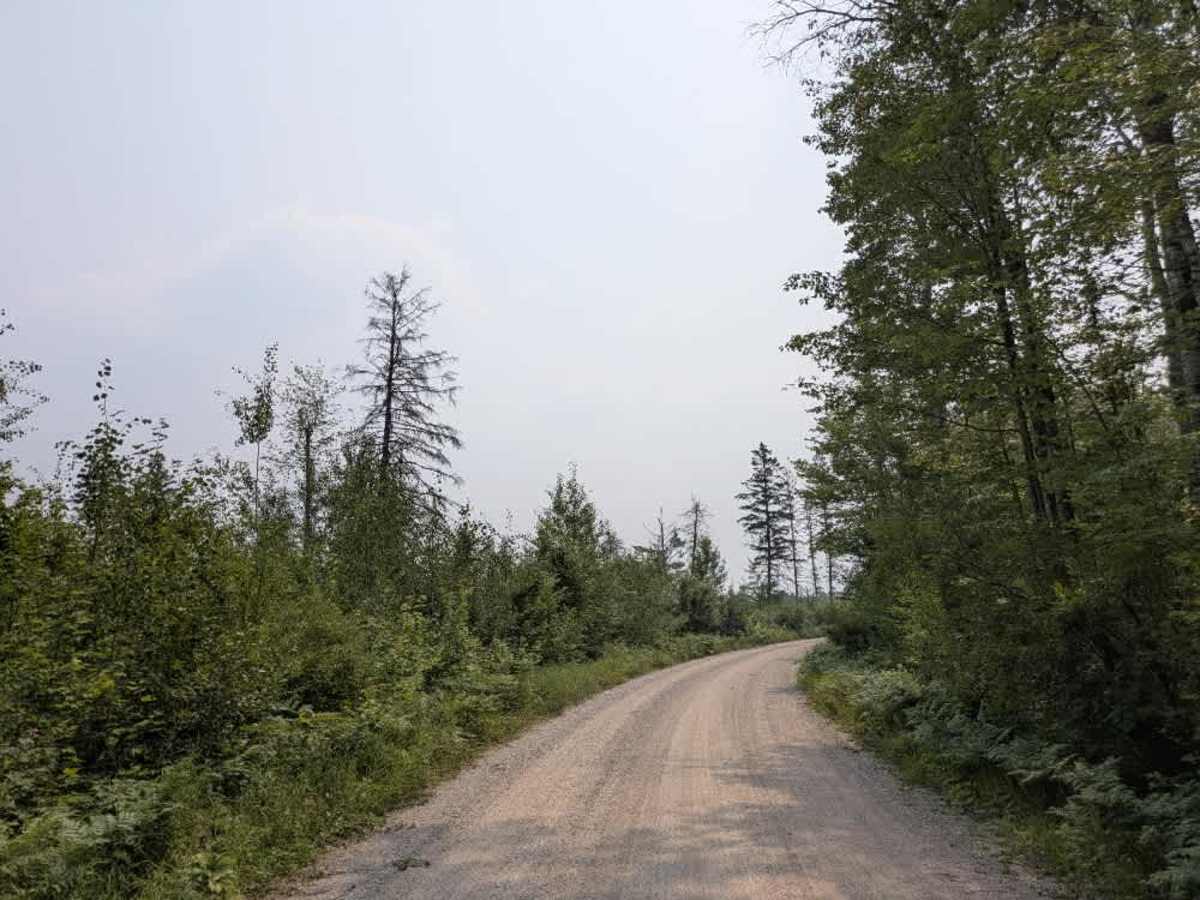 Birch Lake photo 3