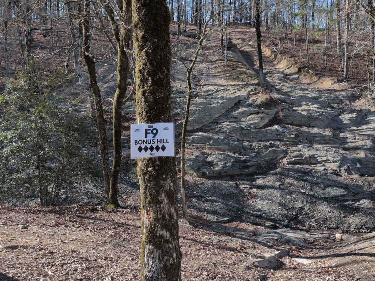 F9 Bonus Hill photo 3