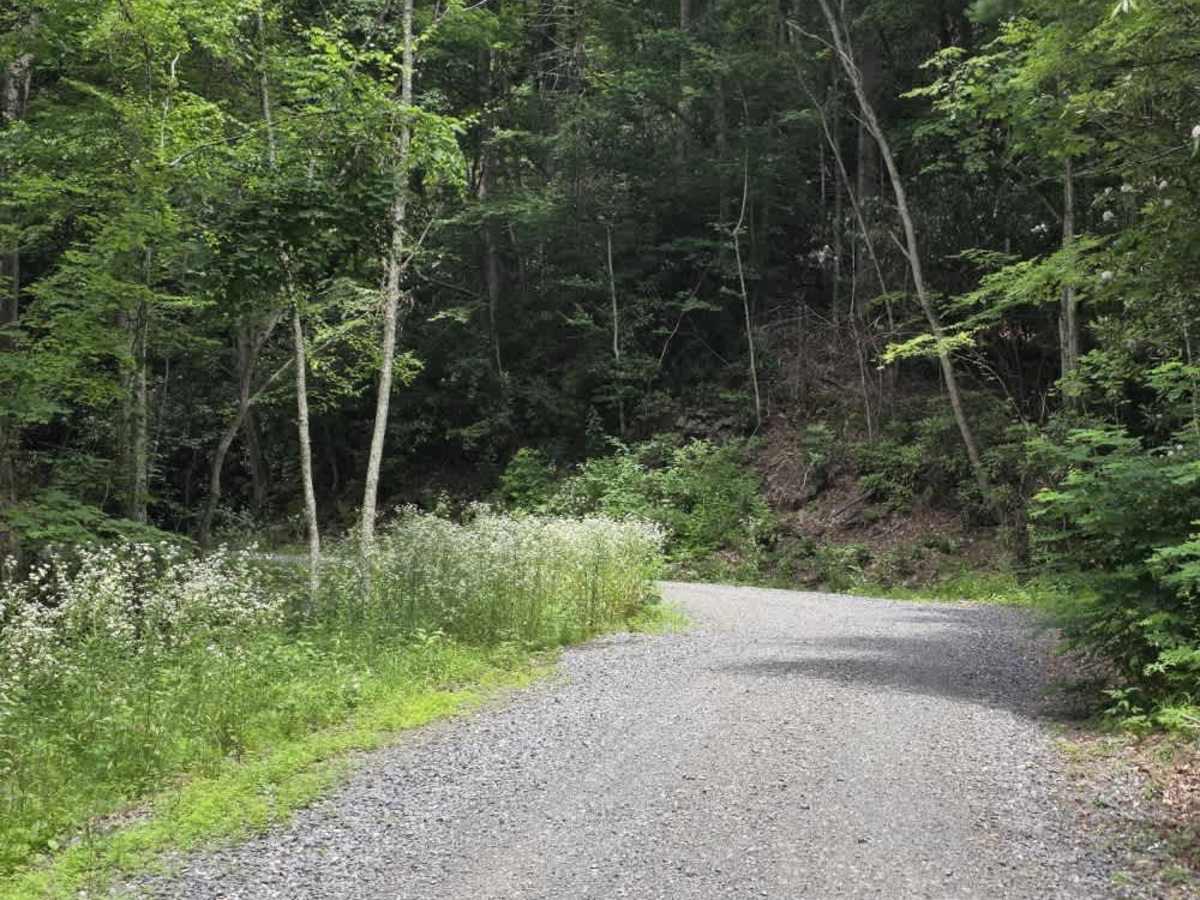 Chestnut Ridge Road photo 4