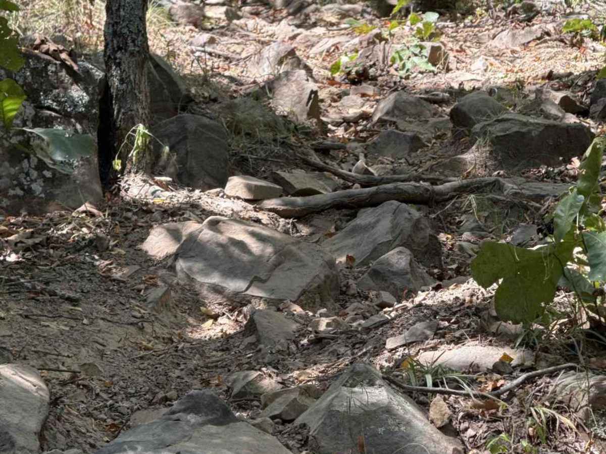 Pele's Fury trail photo