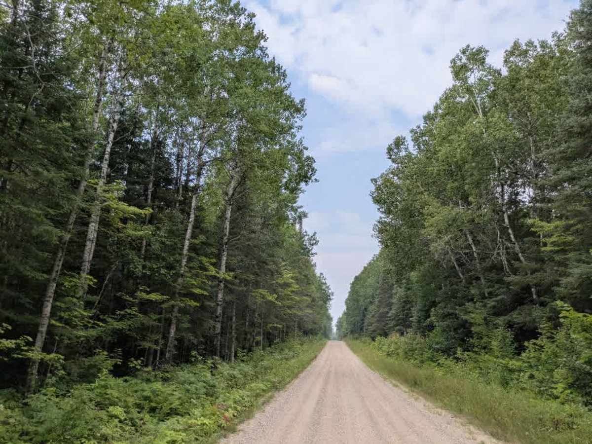Ash Lake Road photo 2