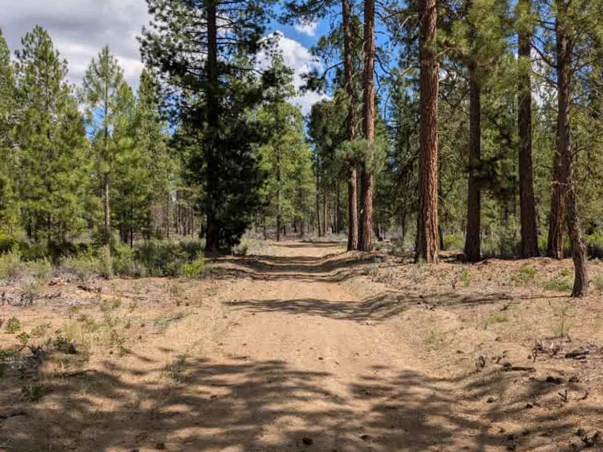 FS 4502100 trail photo