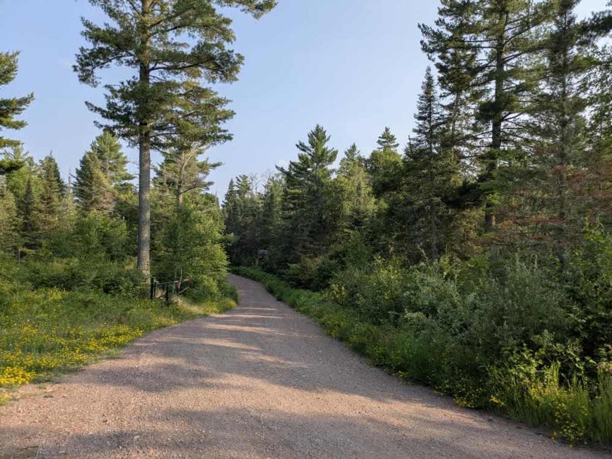 Two Moose Trail photo 4